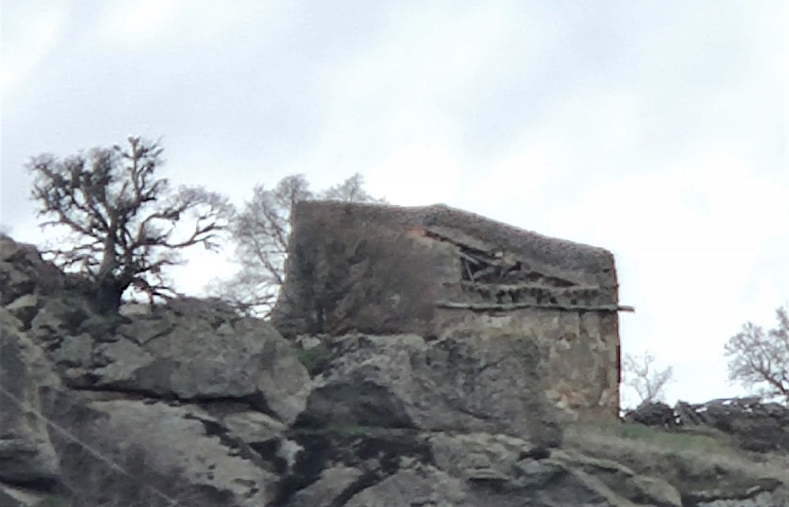 Estado anterior de los palomares