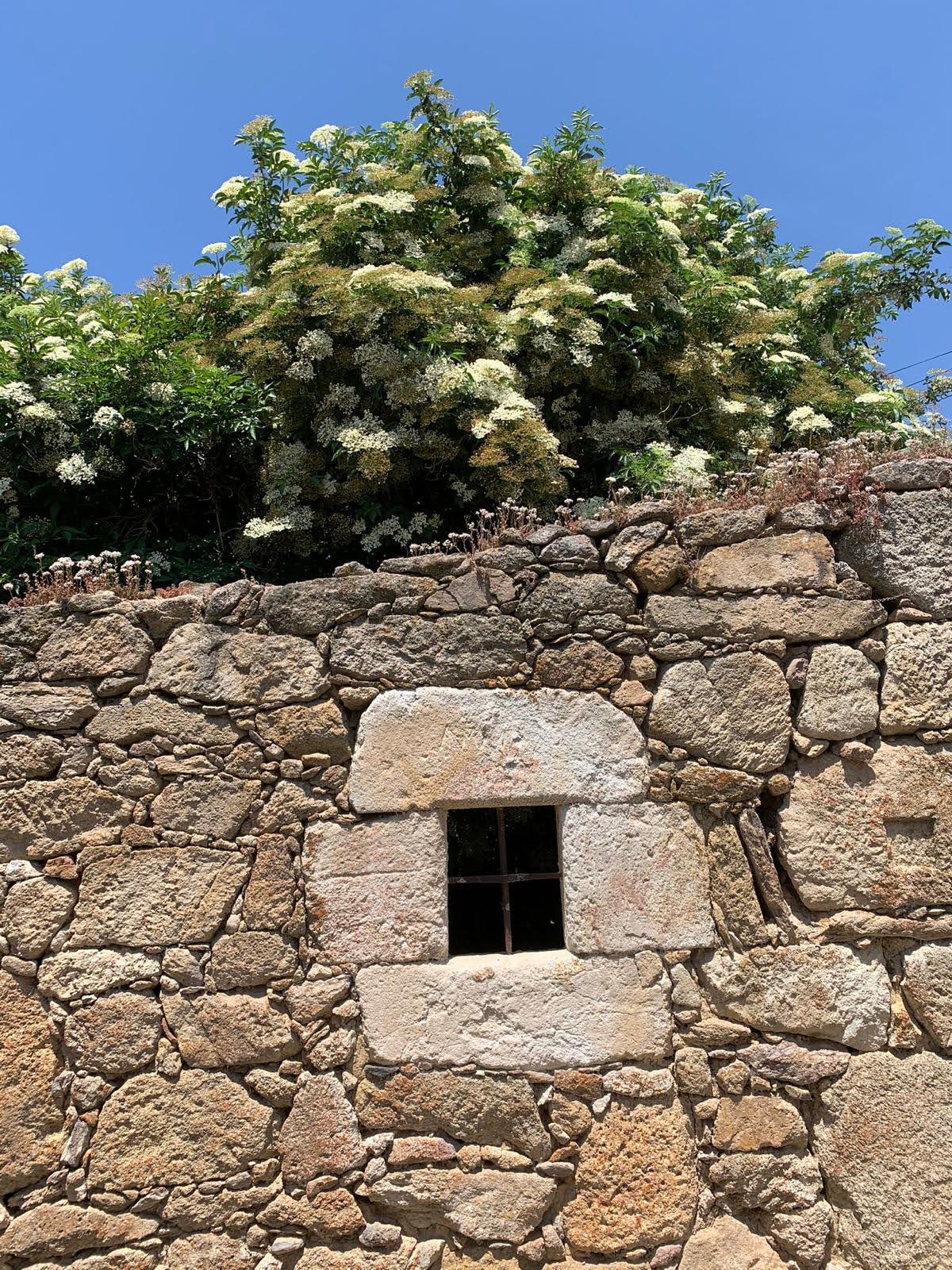 Portadas de las Casas de Tamame